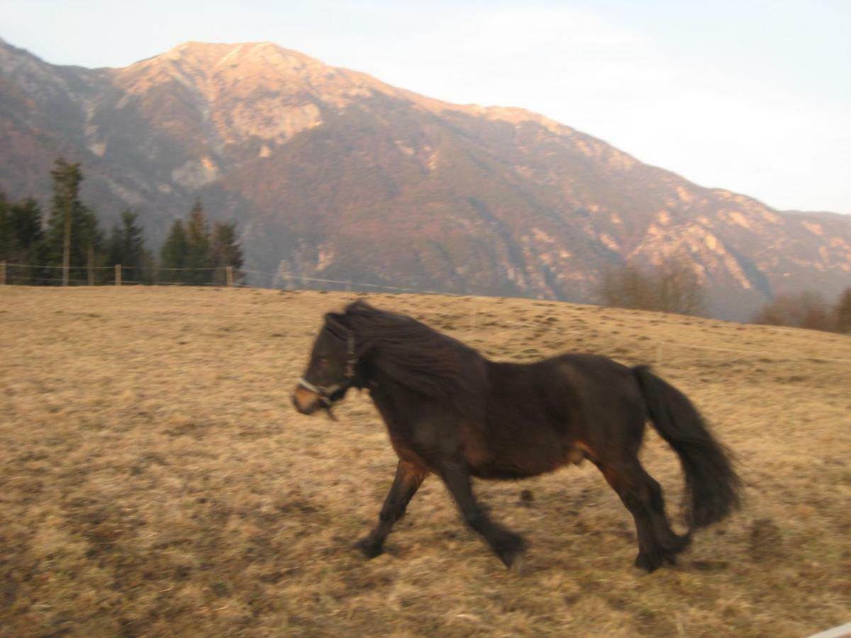 Haus Kaiser Passriach 外观 照片
